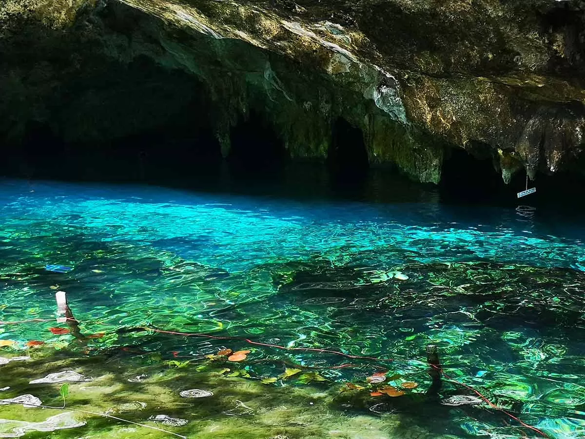 Beautiful Cenotes