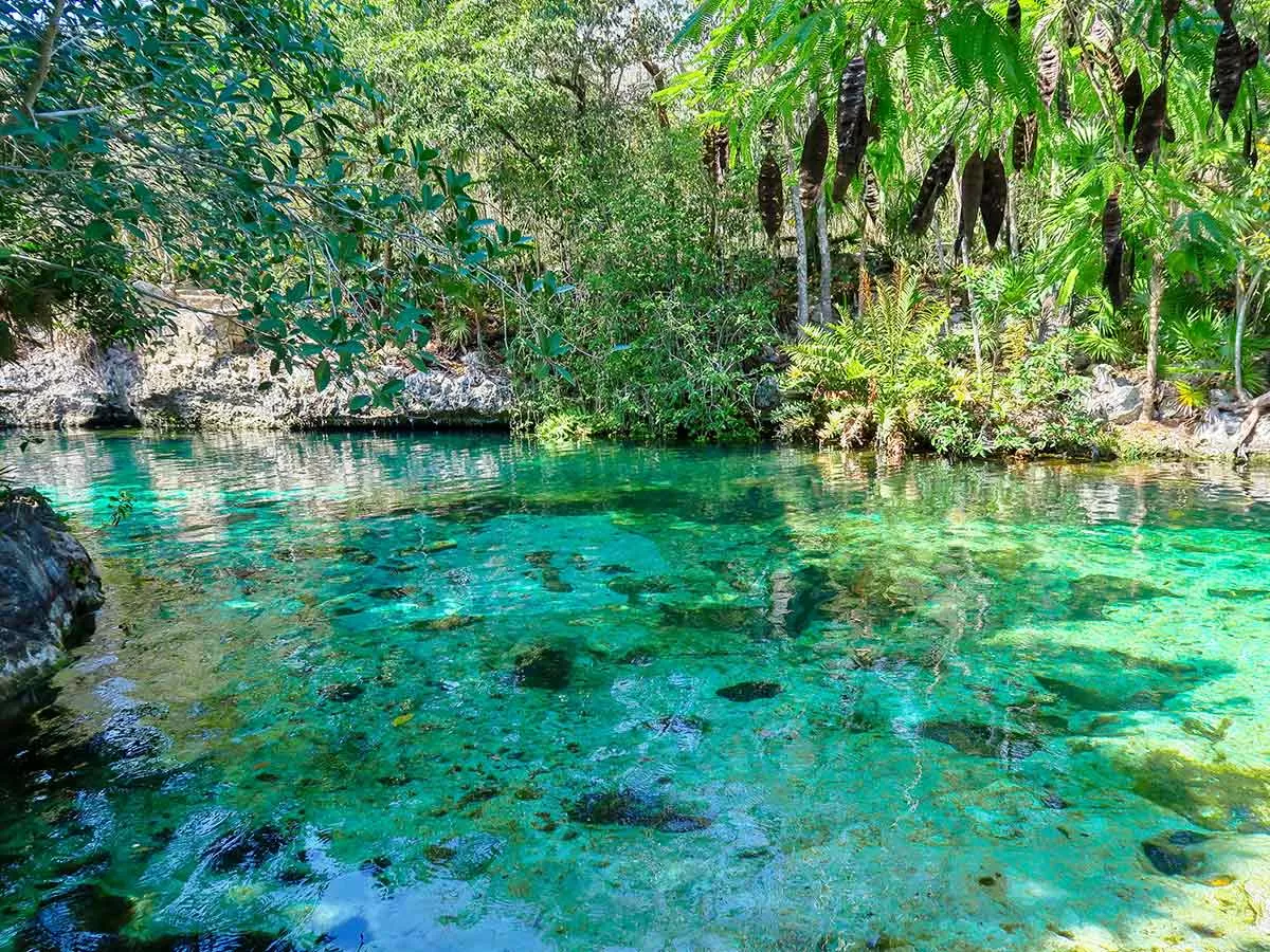 Cenote Jardin del Edens