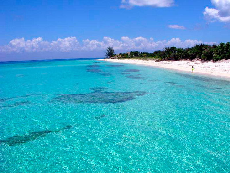 Playa Forum
