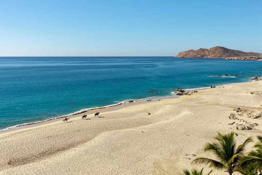 Garza Blanca Los Cabos beach